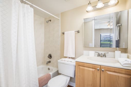 a bathroom with a tub sink and toilet and a mirror