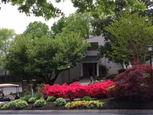 garden