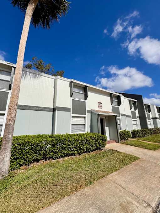 A row of modern apartment buildings with a palm tree in front.