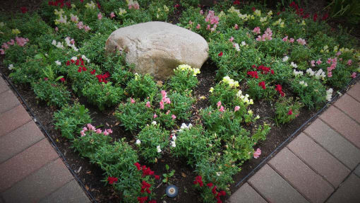 a flower bed in front of a rock