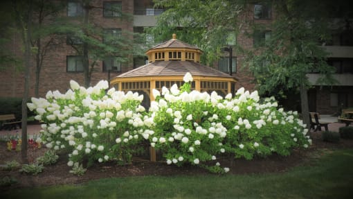 a gazebo with white flowers in the foreground