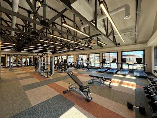A gym with a variety of equipment including treadmills, weights, and a rowing machine.