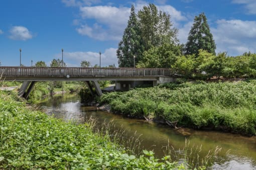 a bridge over a river with trees in the background