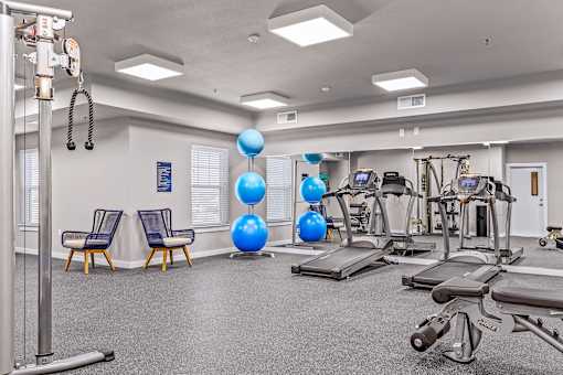 A gym with a variety of equipment including treadmills, weights, and exercise balls.