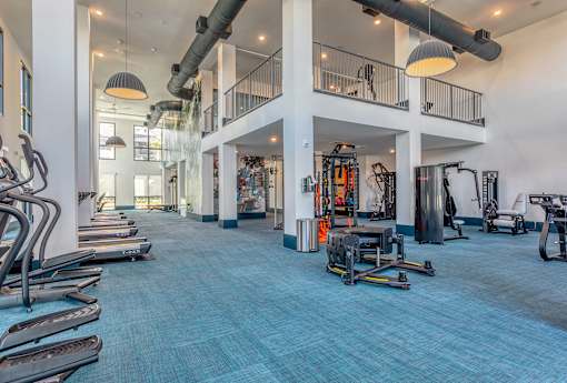 A gym with a blue carpet and various exercise equipment.