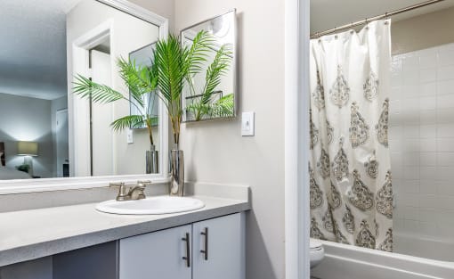 a bathroom with a sink and a mirror and a shower at L'Estancia, Sarasota, 34231