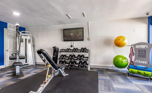 the gym at the house at L'Estancia, Sarasota, 34231