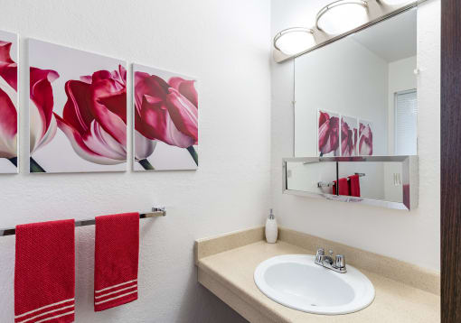 a bathroom with a sink and a mirror  at Pheasant Run, Saginaw, 48638