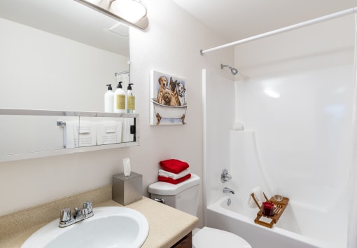 a bathroom with a sink toilet and bathtub  at Pheasant Run, Saginaw, 48638