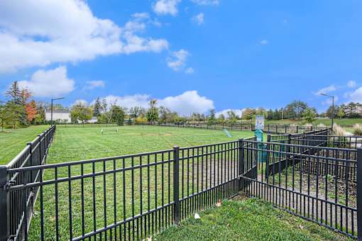 A black fence surrounds a green field.