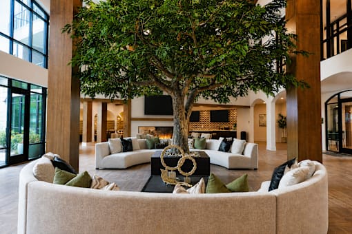 A tree in a living room with a white couch.