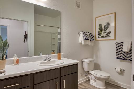 A bathroom with a white toilet and a mirror above the sink.