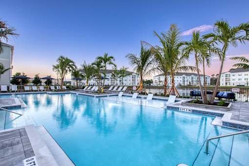 A large swimming pool surrounded by palm trees and lounge chairs.