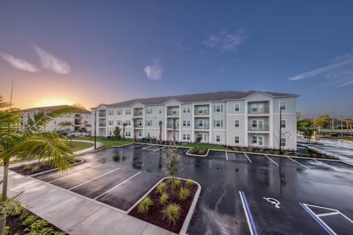 A parking lot in front of a white building with a palm tree on the left.