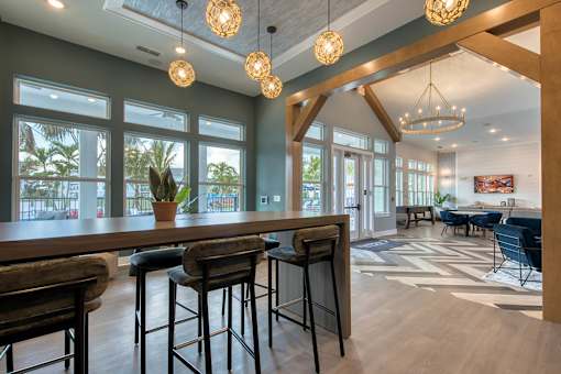 A bar area with stools and a potted plant.