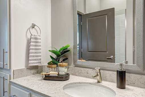 A bathroom with a sink, mirror, and a plant.