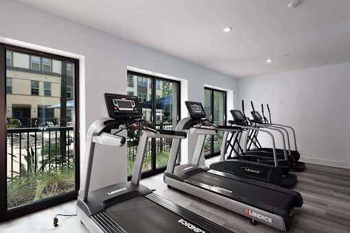 A row of treadmills are lined up in a room.