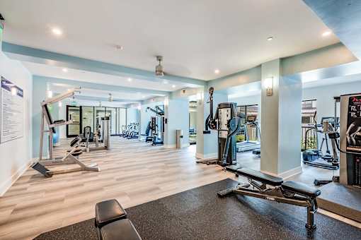 A gym with a variety of equipment including a rowing machine.