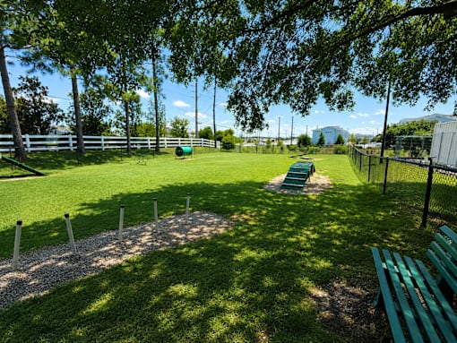 A green park with a bench and a fence.