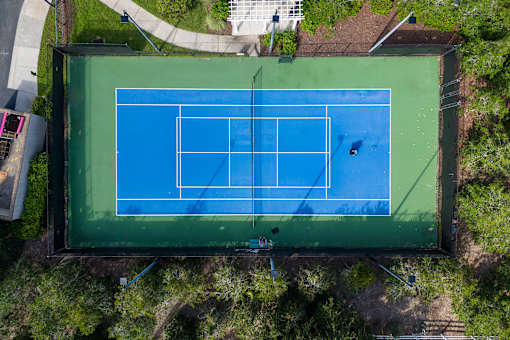 A tennis court is surrounded by trees and has a green border.