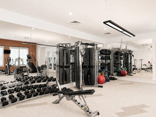 A gym with a variety of equipment including weights and a bench press.