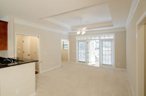 trey ceiling and crown molding