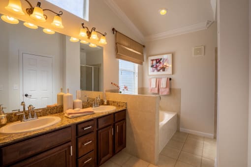Vanity Lights  at Orion Prosper Lakes, Texas, 75078