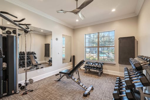 a workout room with weights and cardio equipment and a window at Orion Prosper, Prosper, TX, 75078