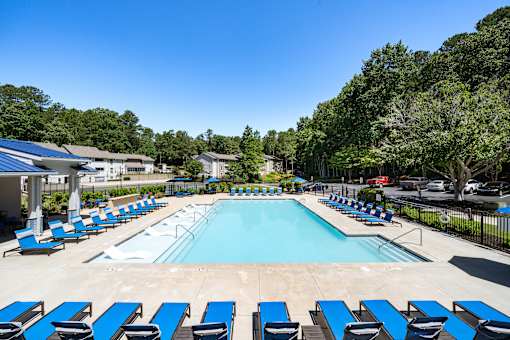 A large swimming pool surrounded by blue sun loungers.