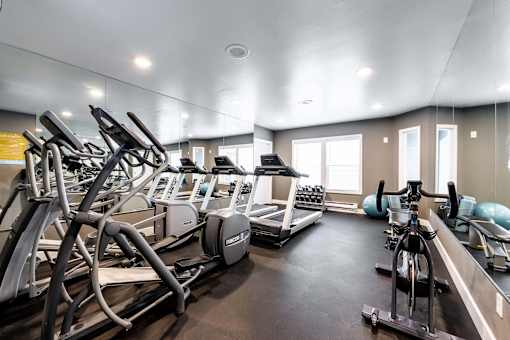 A gym with treadmills, exercise bikes, and other equipment.