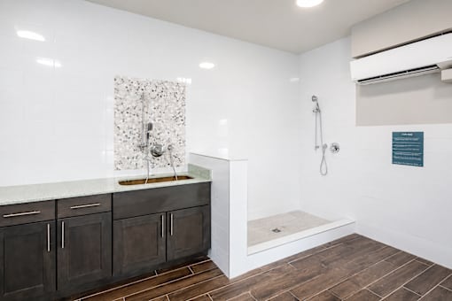 A bathroom with a shower and a sink.
