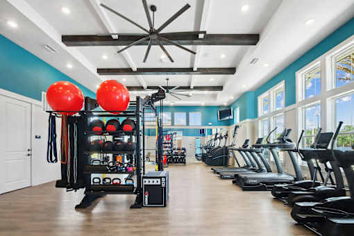 A gym with a row of treadmills and a rack of exercise equipment.
