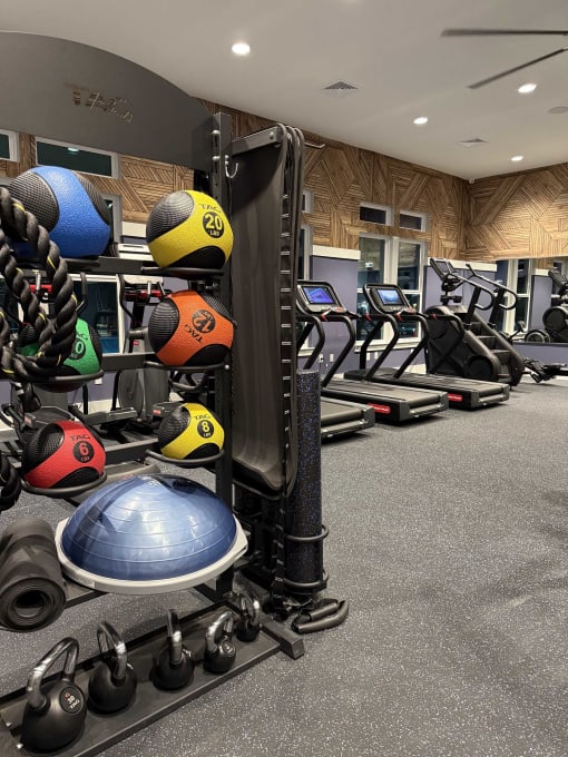zatitude  gym