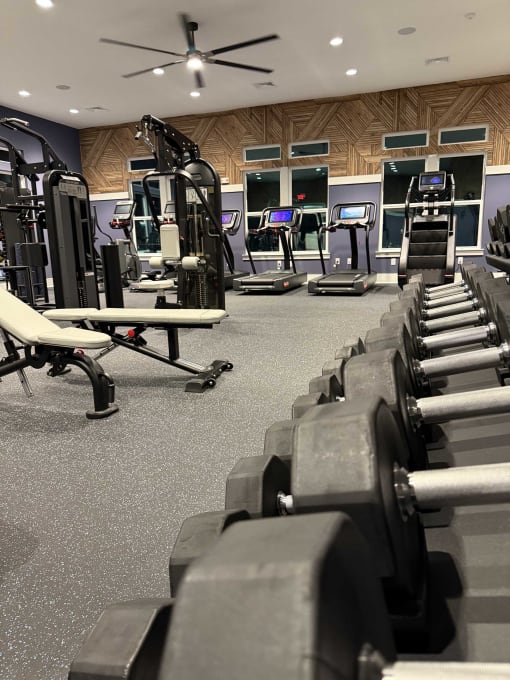 zatitude  gym