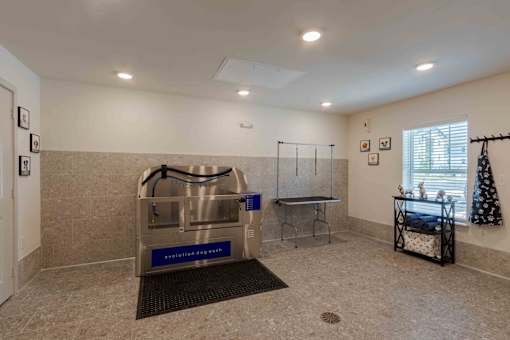 A room with a dog washing machine and a table.