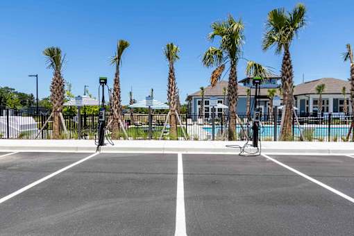 A tennis court surrounded by palm trees and a fence.