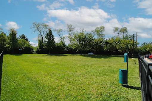 A green field with trees in the background and a fence on the right side.