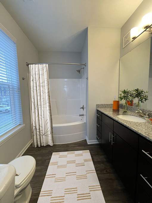 A bathroom with a white toilet, a bathtub with a shower curtain, a sink, and a mirror.