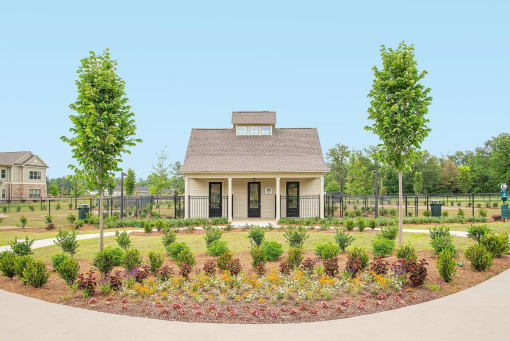 dog park