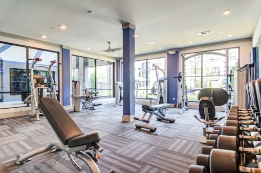 a gym with cardio machines and weights on the floor and windows