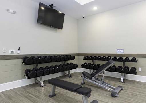 A gym with a bench, weights, and a television mounted on the wall.
