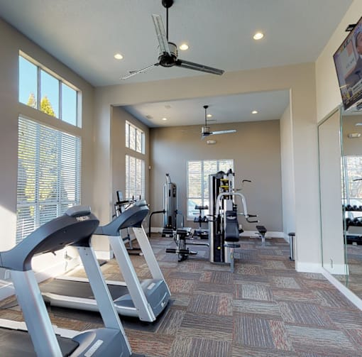 Charlotte, NC, Apartments Near Target - Coffey Creek - A Fitness Center With Treadmills, Strength Training Equipment, Ceiling Fans, Large Windows With Blinds, And A Wall Mirror.