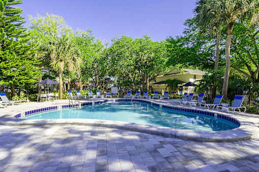 Riverview, FL, Studios for Rent - Sherwood Oaks Apartments - Resort-Style Swimming Pool With Curved Deck, Blue Lounge Chairs, Umbrella Seating, Trees, and Lush Green Landscaping.