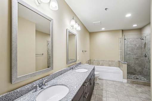 A bathroom with a double sink vanity and a large mirror.
