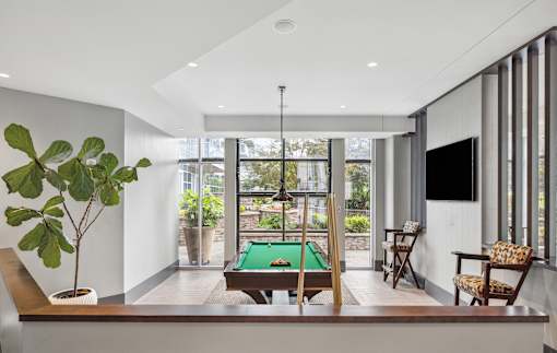 A room with a pool table and a plant.