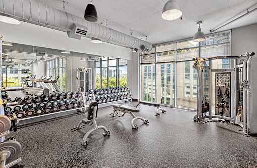 A gym with a row of dumbbells and a bench.