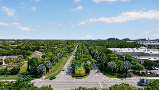 A road with a green and yellow building on the side.