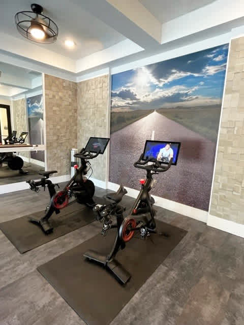 Two exercise bikes are in a room with a large wall mural.