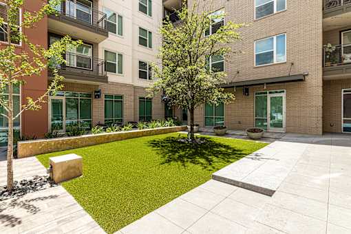A tree in a courtyard surrounded by buildings.
