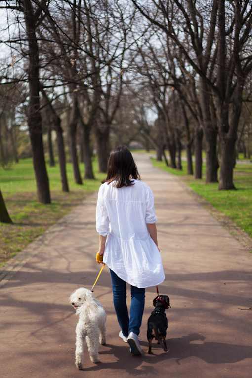 a woman walking two dogs down a path in a park